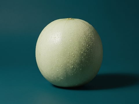 A pale green sphere with textured surface sitting on a teal background, casting a subtle shadow
