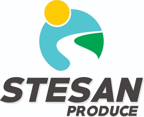 Stesan Produce logo with abstract teal fish design, yellow sun, and green accent